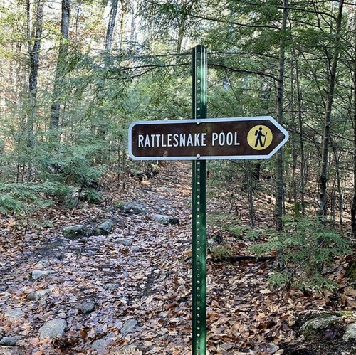 Signpost for Rattlesnake Pool along a wooded trail, surrounded by trees and fallen leaves.
