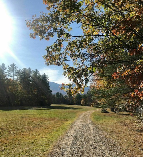 A sunlit path winds through a grassy field, framed by colorful autumn trees and distant mountains.