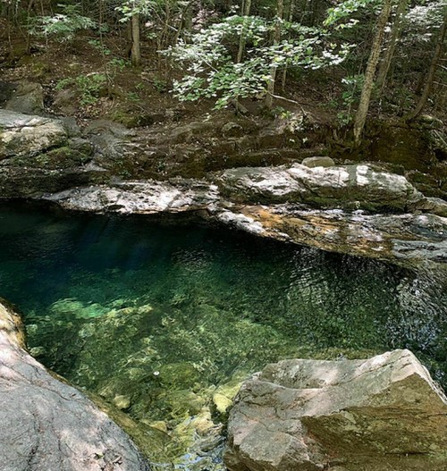 A serene natural pool surrounded by rocks and lush greenery in a forested area.