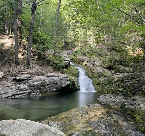 A serene forest scene featuring a small waterfall cascading into a calm pool, surrounded by lush greenery and rocks.