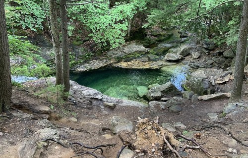 A serene natural pool surrounded by rocks and lush green trees in a forested area.