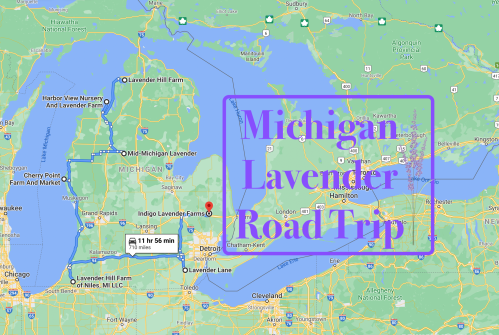 Map of a Michigan lavender road trip route, highlighting various lavender farms and travel time.