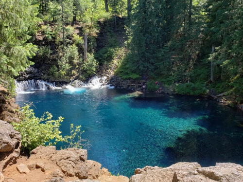A serene blue pool surrounded by lush green trees and a small waterfall, with people enjoying the natural scenery.
