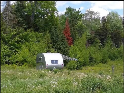 A silver trailer sits in a lush green field surrounded by trees and wildflowers under a partly cloudy sky.
