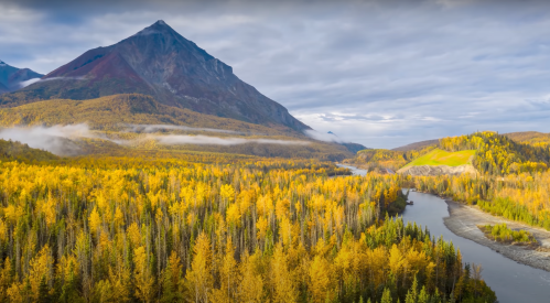A scenic view of a river winding through golden autumn trees, with a majestic mountain in the background under a cloudy sky.