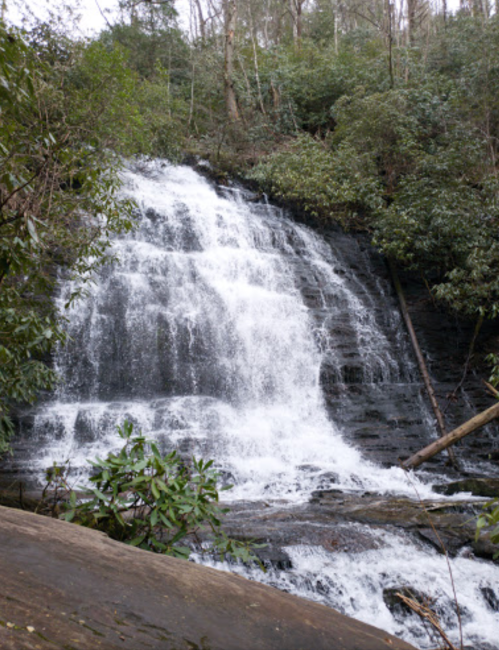 A cascading waterfall surrounded by lush greenery and trees, with water flowing over rocky terrain.