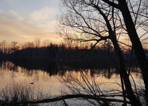 A serene lake at sunset, with trees silhouetted against a colorful sky and reflections on the water's surface.