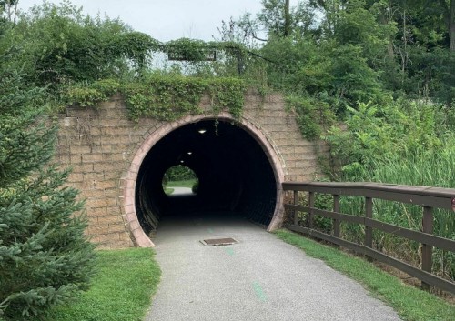 A grassy tunnel entrance leading to a paved path surrounded by greenery.