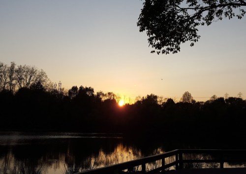 Sunset over a calm lake, with silhouettes of trees and power lines against a colorful sky.