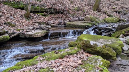 A serene stream flows over moss-covered rocks in a wooded area, surrounded by fallen leaves and trees.