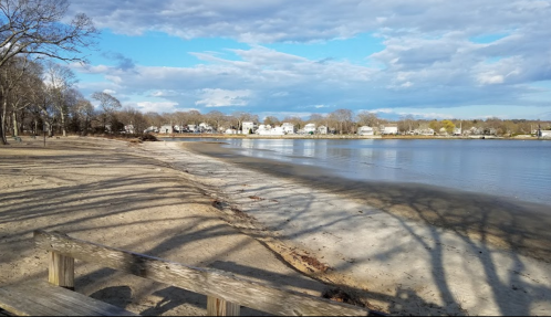 A serene lakeside view with sandy shore, trees casting shadows, and houses in the distance under a partly cloudy sky.