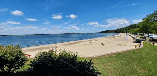 A sunny beach scene with people enjoying the sand and water, surrounded by trees and a clear blue sky.