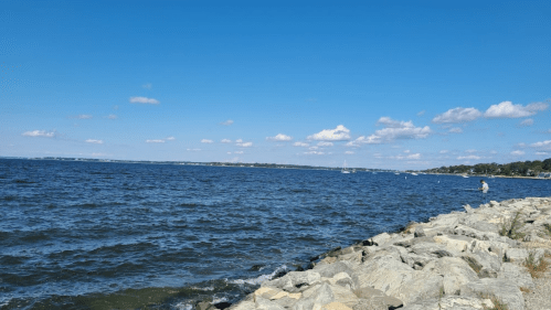 A serene view of a blue ocean under a clear sky, with rocky shoreline and a person fishing in the distance.