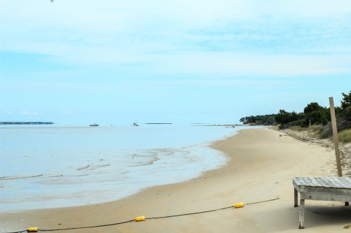A serene beach scene with calm waters, a sandy shore, and distant boats under a light blue sky.