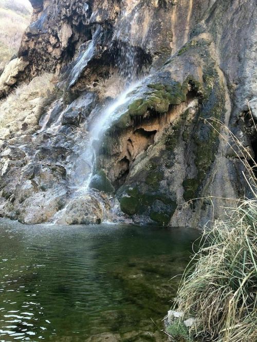A serene waterfall cascading down a rocky cliff into a calm pool, surrounded by moss and grass.