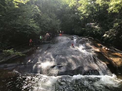 A rocky riverbank with people enjoying the water and lush greenery surrounding the area. Sunlight filters through the trees.