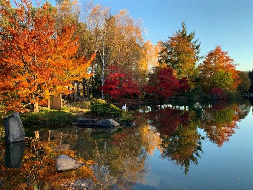 A serene lake surrounded by vibrant autumn trees reflecting in the water under a clear blue sky.