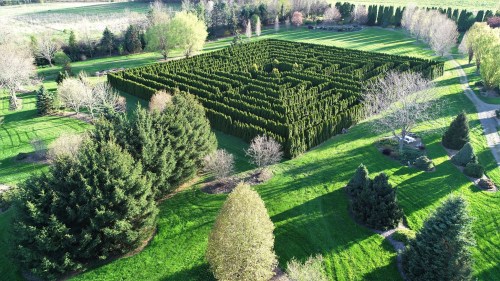 Aerial view of a green maze surrounded by trees and manicured lawns in a sunny landscape.