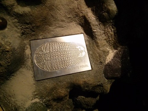 A metal plaque displaying a trilobite fossil, set against a rocky background in a museum exhibit.