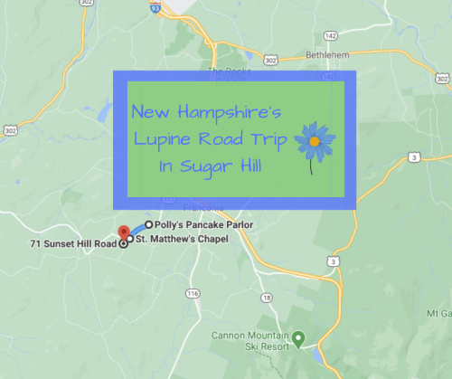 Map highlighting New Hampshire's Lupine Road Trip in Sugar Hill, featuring Polly's Pancake Parlor and St. Matthew's Chapel.