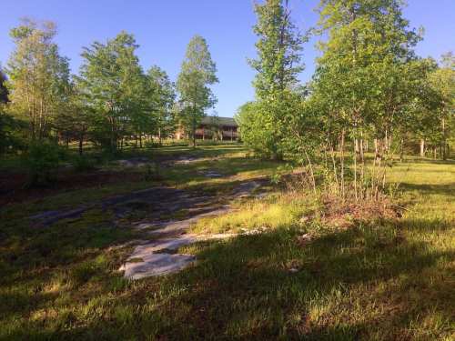 A serene landscape featuring green trees and a rocky path leading to a distant house under a clear blue sky.