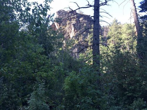 A rocky outcrop rises above dense green foliage and tall trees in a serene forest setting.