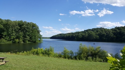A serene lake surrounded by lush green trees under a bright blue sky with fluffy white clouds.
