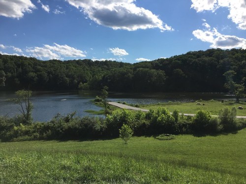 A serene landscape featuring a calm lake surrounded by lush green trees and a clear blue sky with fluffy clouds.