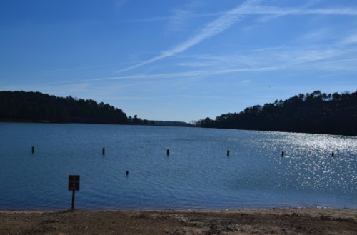 A serene lake scene with sparkling water, surrounded by trees under a clear blue sky.