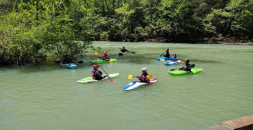A group of kayakers paddles on a calm river surrounded by lush greenery.