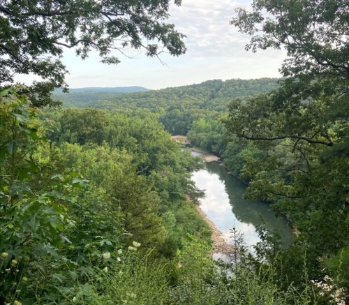 A serene river winding through lush green hills under a cloudy sky, surrounded by trees and foliage.