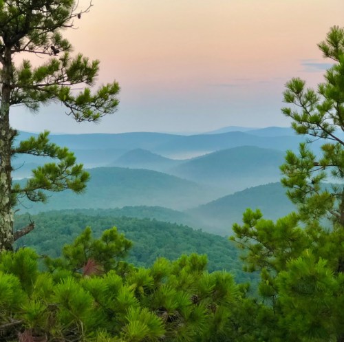 A serene landscape of rolling green hills under a pastel sky, framed by pine trees.