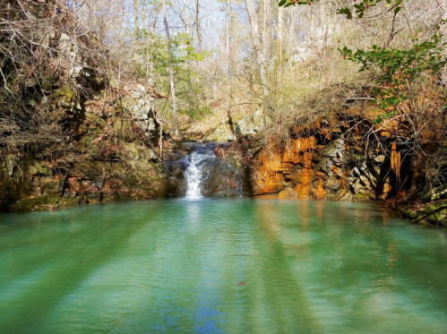 A serene forest scene featuring a small waterfall cascading into a clear, turquoise pool surrounded by rocky terrain.