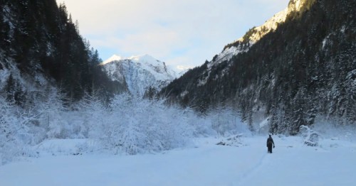 A person walks through a snowy landscape surrounded by tall trees and mountains under a clear sky.