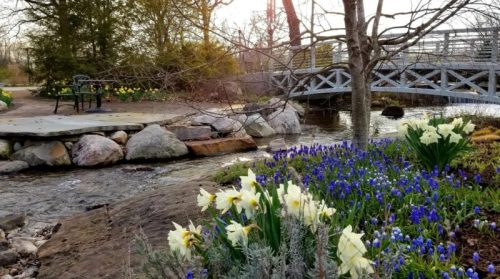 A serene garden scene with blooming flowers, a small stream, and a wooden bridge in the background.