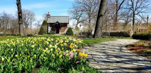 A charming garden path lined with colorful tulips leads to a quaint stone cottage surrounded by trees.