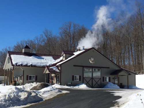 A snow-covered building with a metal roof, emitting steam, surrounded by trees and a clear blue sky.