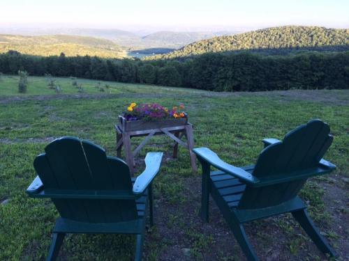 Two green chairs facing a scenic view of rolling hills and a flower planter on a wooden table.