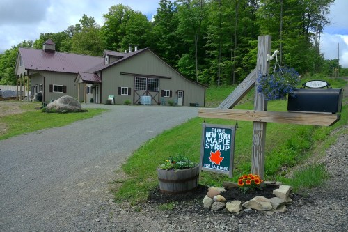 A rustic building with a red roof, surrounded by greenery, features a sign for pure New York maple syrup for sale.