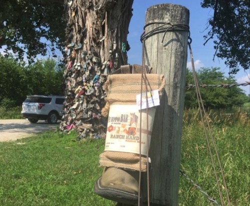A weathered post with a bag hanging on it, surrounded by a tree and a vehicle in the background.