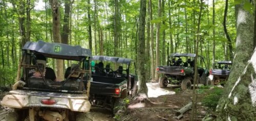 ATVs navigating a narrow trail through a lush green forest.