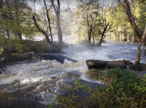 A flowing river surrounded by trees, with rocks visible in the water and mist rising in the morning light.