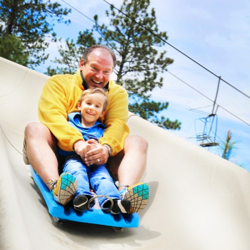 A man and a young boy joyfully slide down a large slide on a sunny day, surrounded by trees.