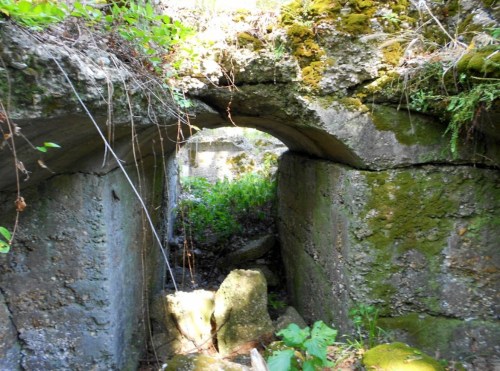 Overgrown stone archway in a mossy, abandoned structure, surrounded by greenery and sunlight filtering through.