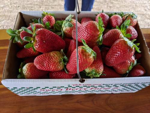 A box filled with fresh, ripe strawberries, showcasing their vibrant red color and green leaves.