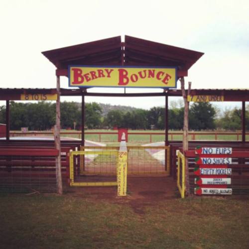 Entrance to Berry Bounce, featuring rules and age restrictions, with a grassy area visible in the background.