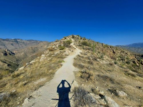 A winding dirt path leads to a rocky hilltop under a clear blue sky, with a shadow of a person holding up their arms.