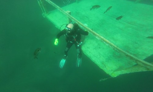 A scuba diver explores underwater near a sunken structure, surrounded by fish in a greenish-blue ocean.