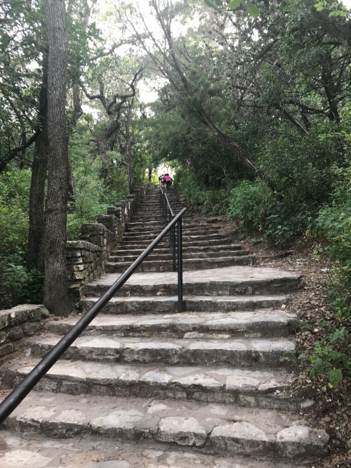 A person walks up a stone staircase surrounded by lush greenery and trees.