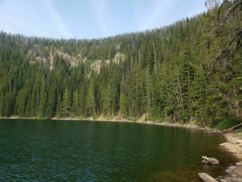A serene lake surrounded by tall evergreen trees and a rocky shoreline under a clear blue sky.